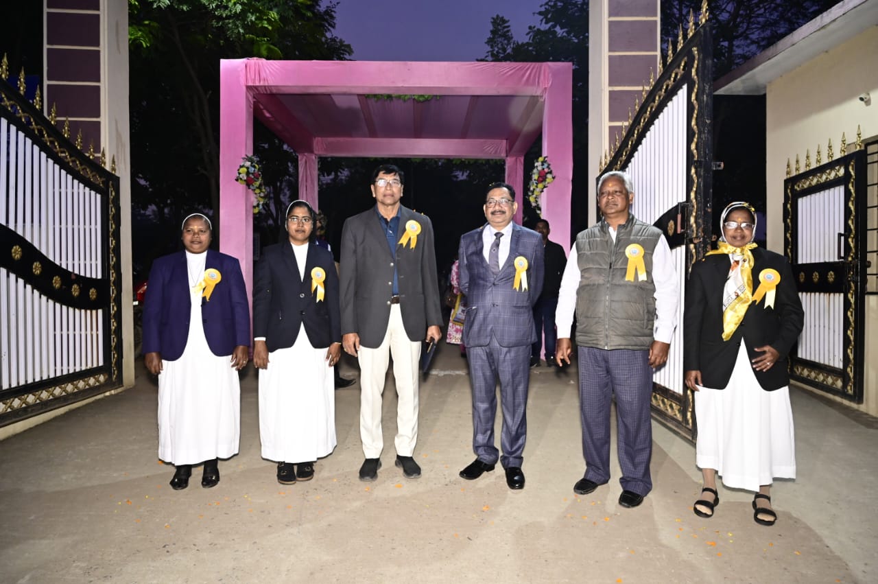 St. Joseph's Convent School activity